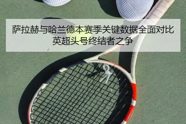 萨拉赫与哈兰德本赛季关键数据全面对比英超头号终结者之争